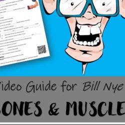 Bill nye bones and muscles answer key