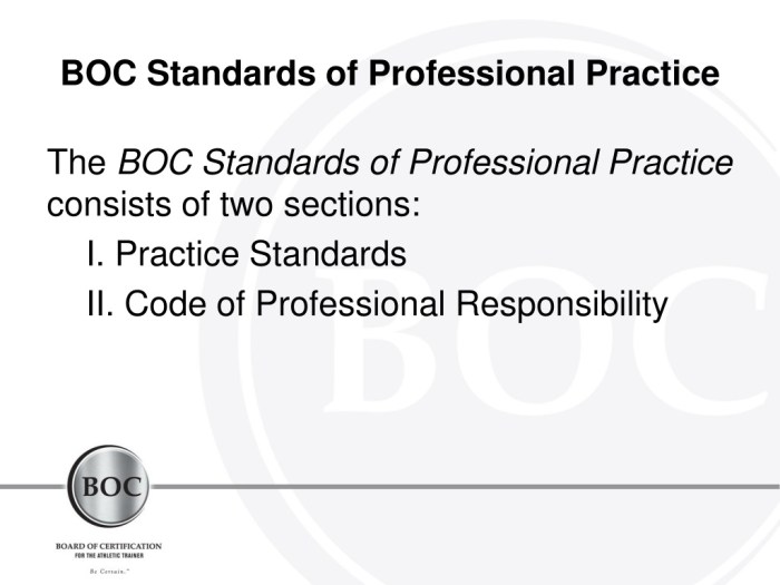 Boc standards of professional practice