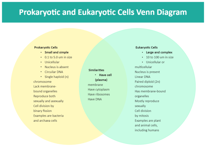 Venn diagram of eukaryotes and prokaryotes