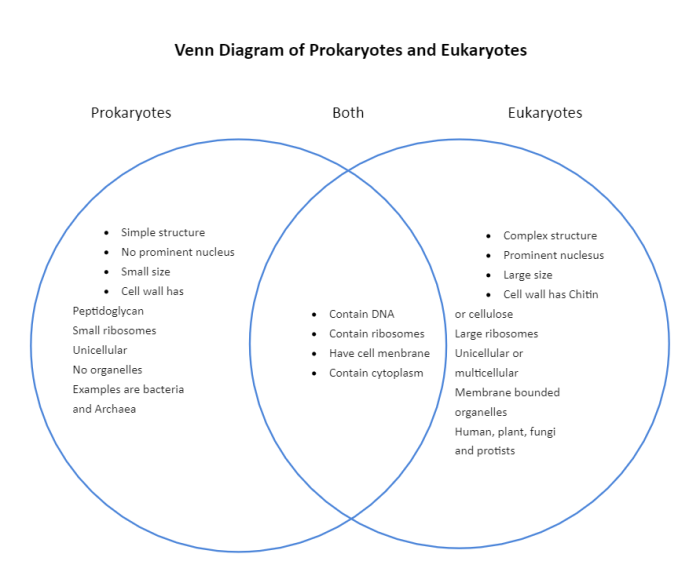 Venn diagram of eukaryotes and prokaryotes