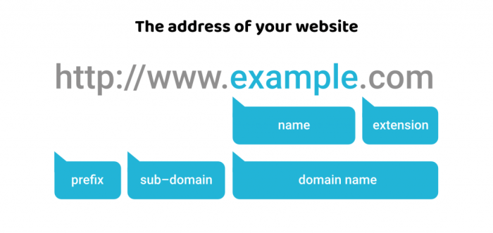 Ip domain dns address name