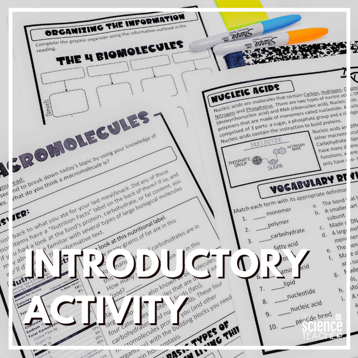 Introduction to biological macromolecules quiz