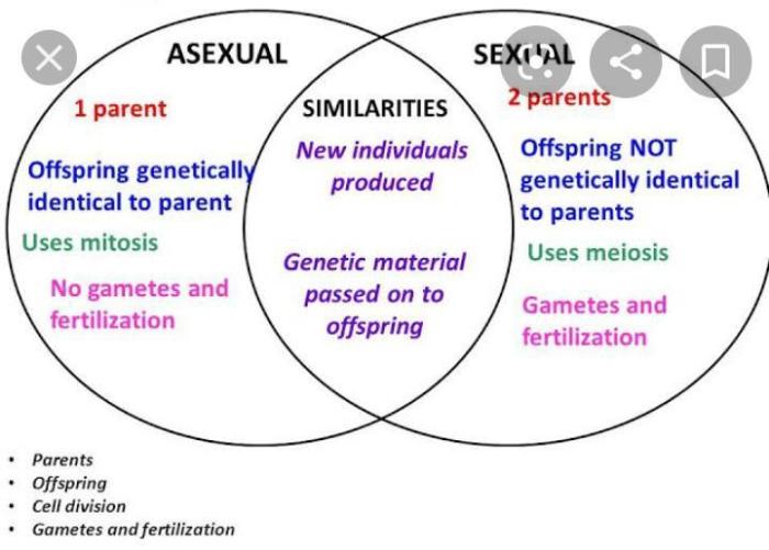 Sexual and asexual reproduction venn diagram