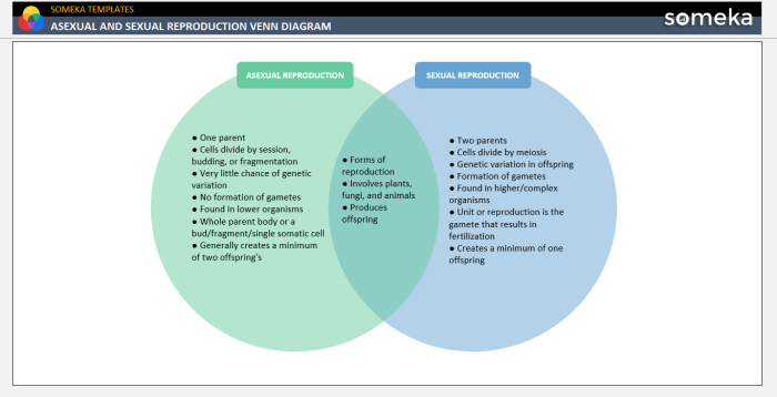 Sexual and asexual reproduction venn diagram