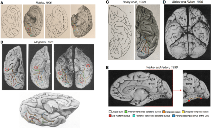 A researcher's study uses an identifiable dataset