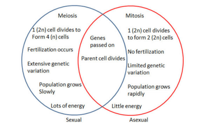 Asexual organisms