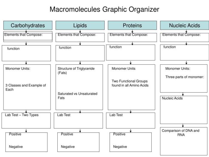 Introduction to biological macromolecules quiz